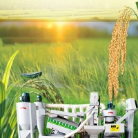 新型组合碾米机中型多功能打米机全自动鲜米机无尘环保剥壳机